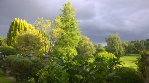 WP_20150801_19_07_18_Pro