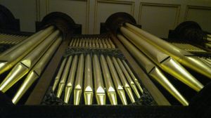 SGHS main organ