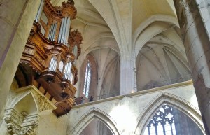 WP_20151011_12_22_49_Pro_crop